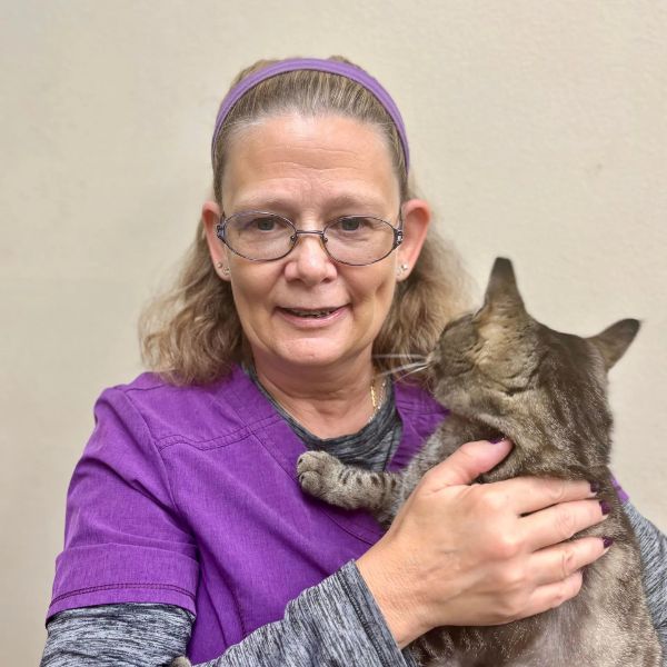 veterinary staff