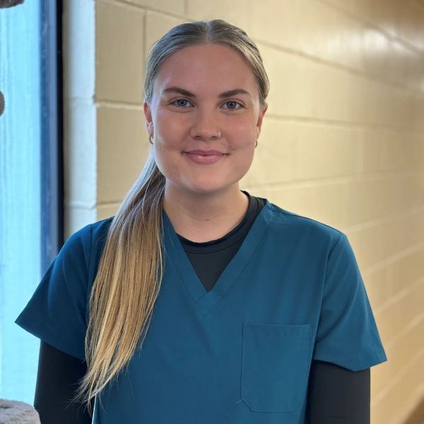 veterinary staff