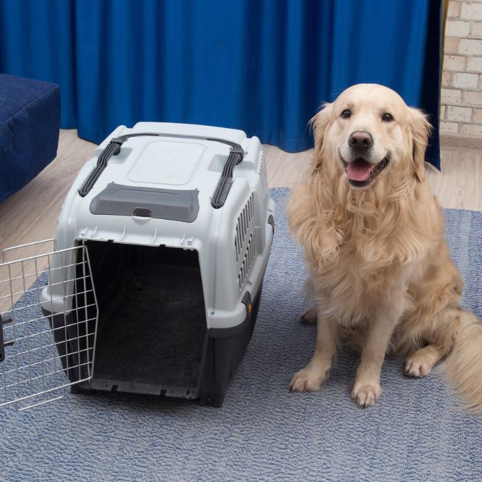 dog sitting next to pet carrier