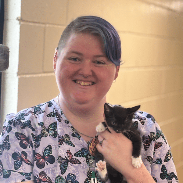 veterinary staff