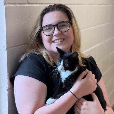 Lex Placeholder image